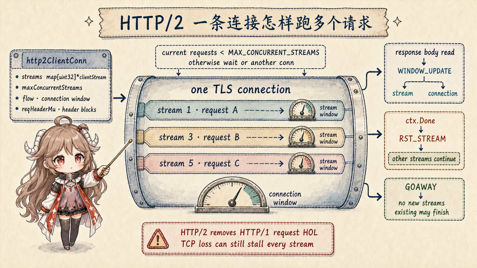 HTTP/2 client connection 在一条 TLS 连接上保存 stream map,stream 1、3、5 并发传输,各自有 stream window 并共享 connection window;读 response body 返回 WINDOW_UPDATE,取消当前请求发送 RST_STREAM,其他 stream 继续